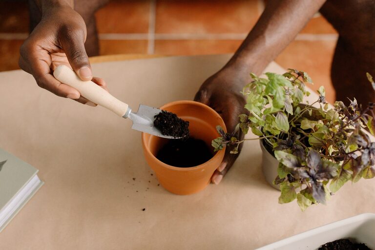 How to Start a Small Herb Garden Indoors: A Beginner’s Guide