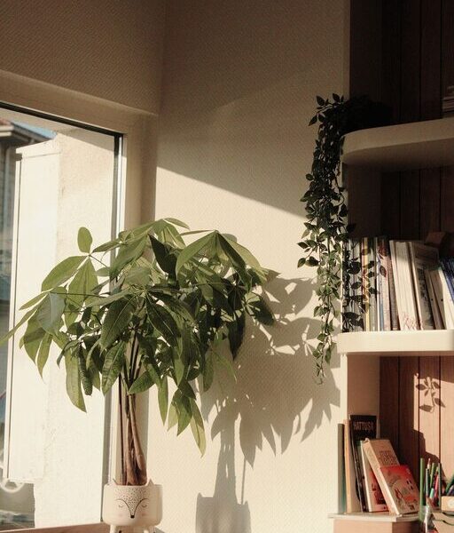 How to Create a Cozy Reading Corner at Home