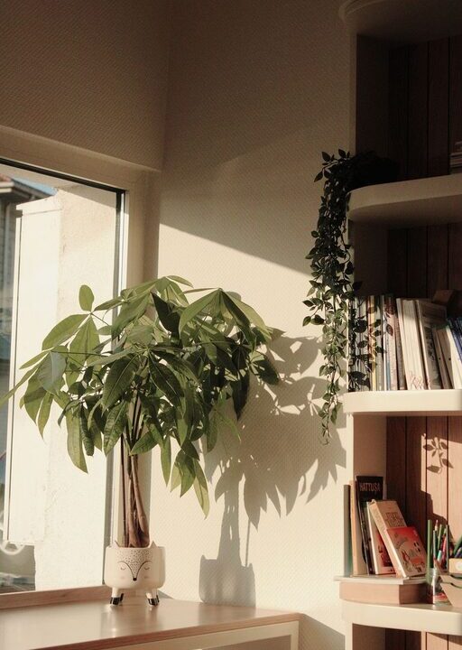 How to Create a Cozy Reading Corner at Home