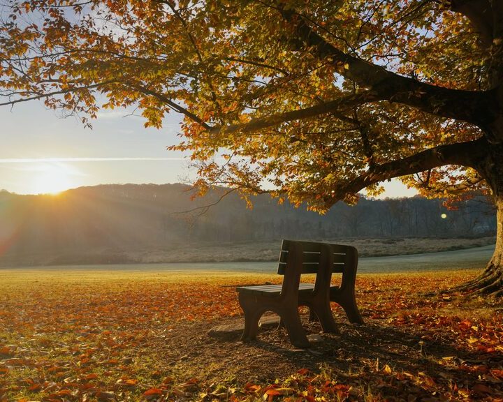 Mindful Breaks You Can Take in Five Minutes